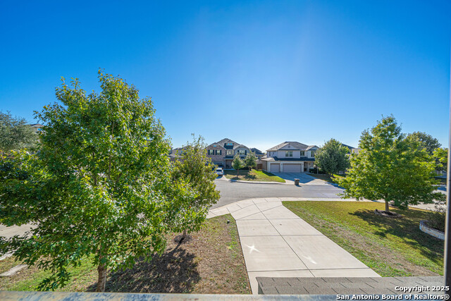 Image 28 of 43 For 1429 Catfish