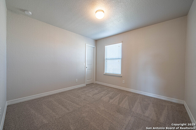 Image 29 of 43 For 1429 Catfish