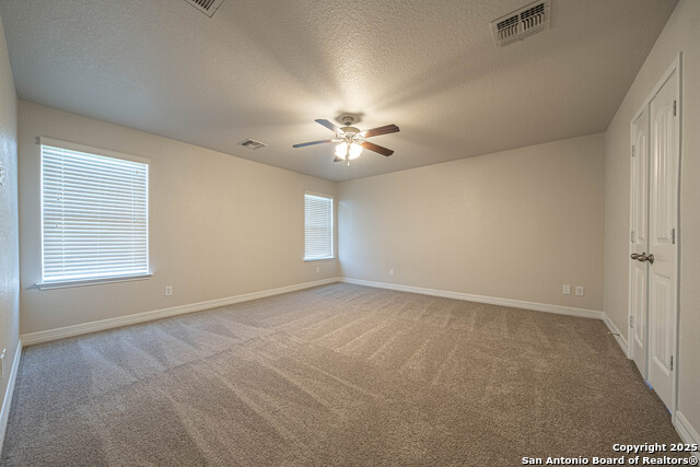 Image 31 of 43 For 1429 Catfish