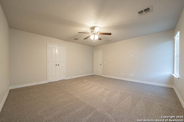 Image 32 of 43 For 1429 Catfish