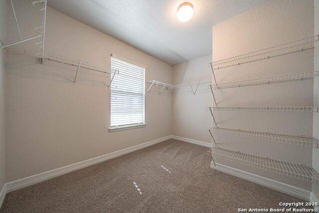 Image 36 of 43 For 1429 Catfish