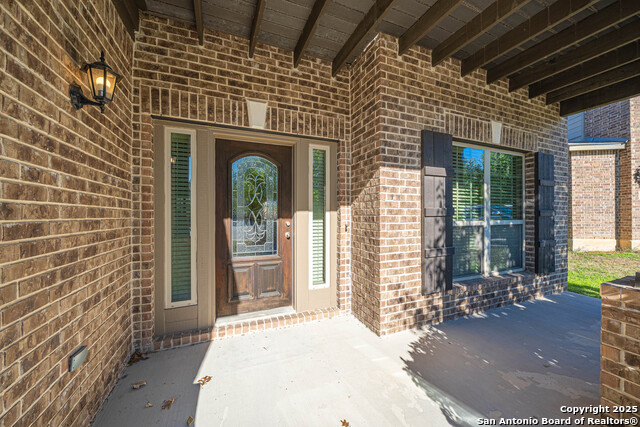 Image 4 of 43 For 1429 Catfish