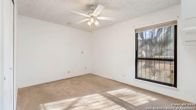 Image 12 of 21 For 7331 Crownpiece