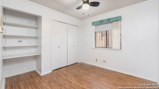 Image 16 of 21 For 7331 Crownpiece