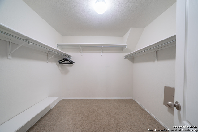 Image 18 of 24 For 9131 Canter Horse