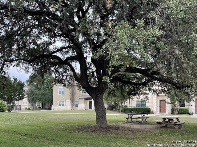 Image 23 of 37 For 1000 Diamond 2004