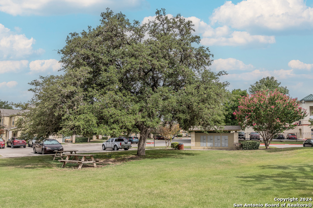 Image 34 of 37 For 1000 Diamond 2004