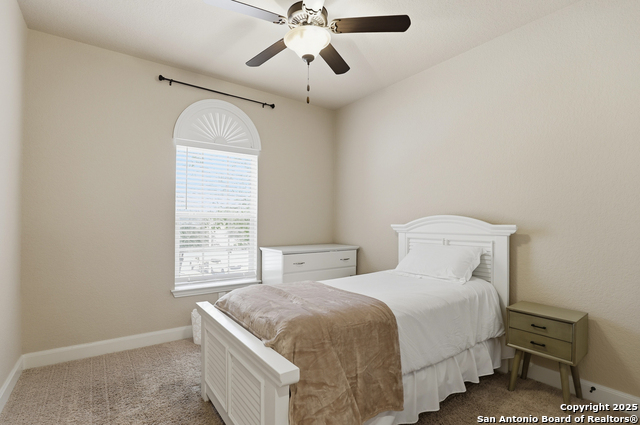 Image 22 of 34 For 3903 Firebush