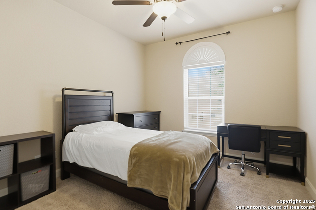 Image 25 of 34 For 3903 Firebush