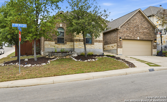 Image 34 of 34 For 3903 Firebush