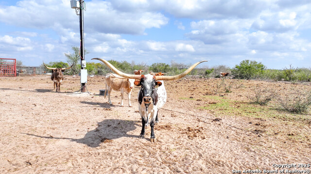 Image 15 of 41 For 001 Us-181