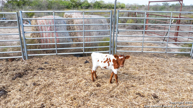 Image 21 of 41 For 001 Us-181