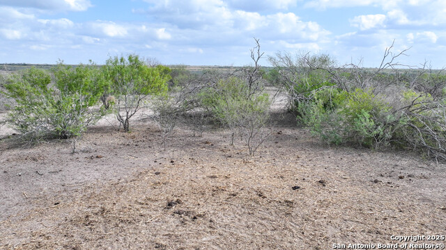 Image 24 of 41 For 001 Us-181