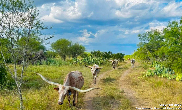 Image 30 of 41 For 001 Us-181