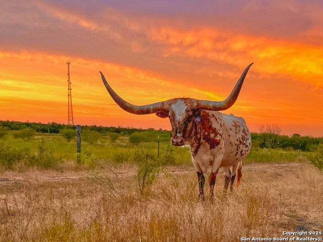 Image 31 of 41 For 001 Us-181