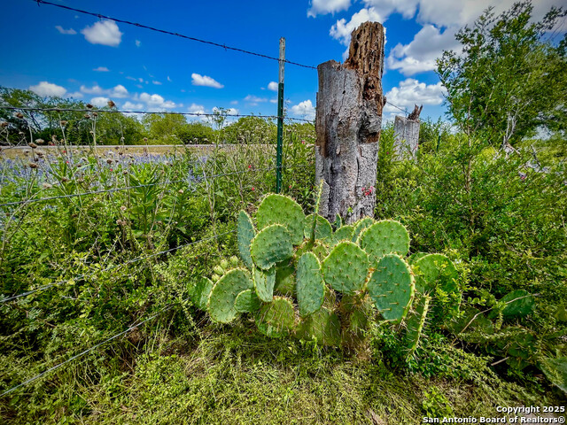 Image 33 of 41 For 001 Us-181