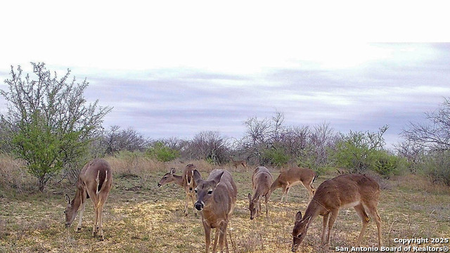 Image 34 of 41 For 001 Us-181