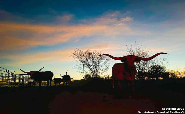 Image 41 of 41 For 001 Us-181