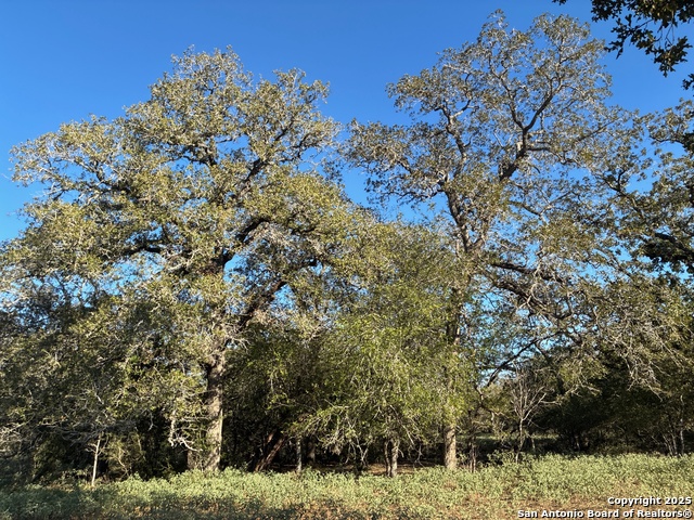 Image 10 of 12 For 483 Batey Rd