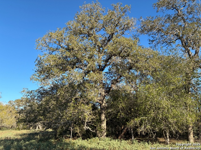 Image 12 of 12 For 483 Batey Rd