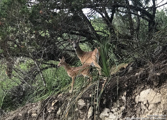 Image 10 of 14 For 0 Hill Top Ln