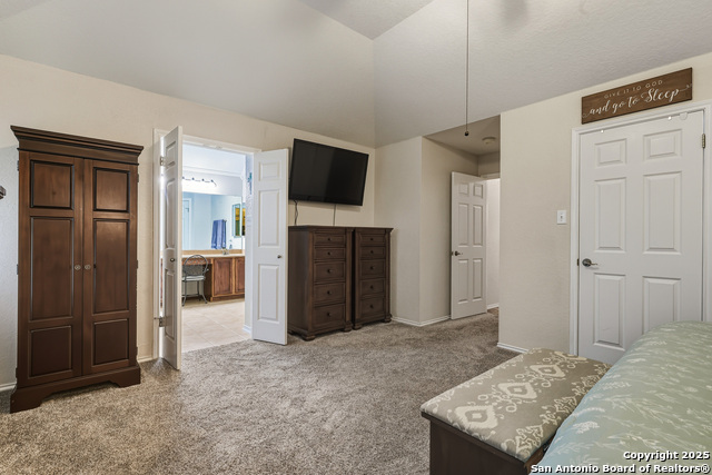 Image 17 of 42 For 12914 Paint Brush