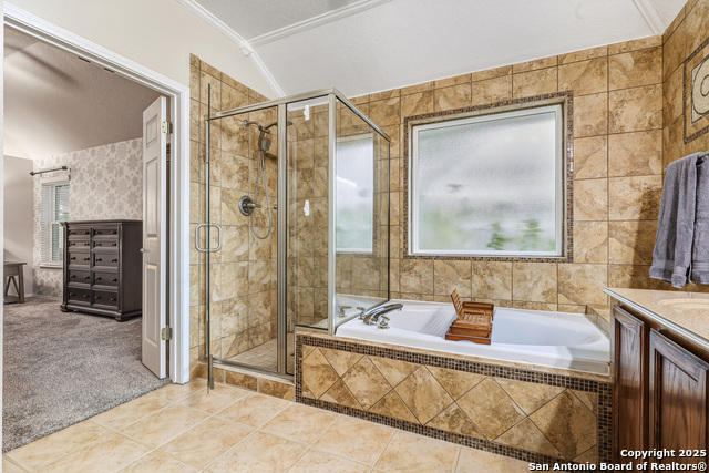 Image 18 of 42 For 12914 Paint Brush