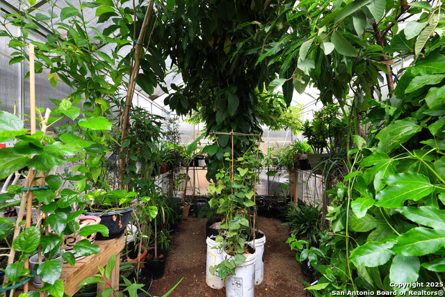 Image 32 of 42 For 12914 Paint Brush