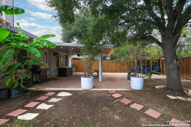 Image 34 of 42 For 12914 Paint Brush