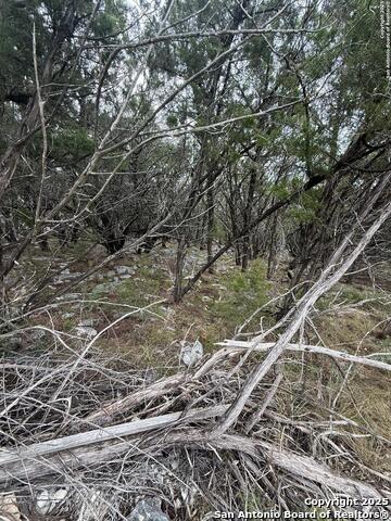 Image 2 of 8 For 8115 Grand Stone