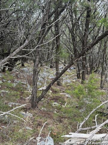 Image 3 of 8 For 8115 Grand Stone