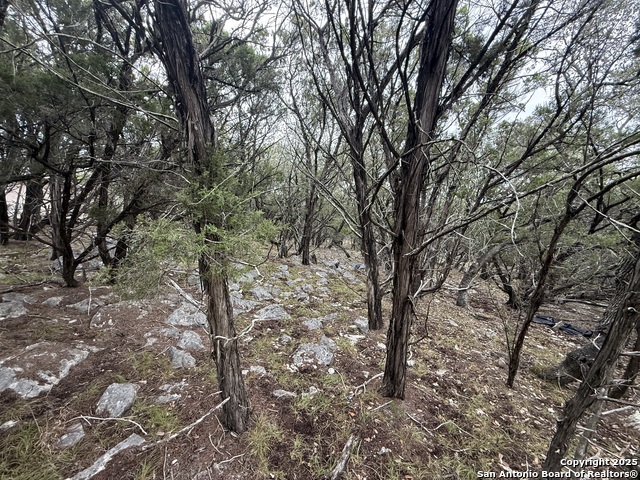 Image 4 of 8 For 8115 Grand Stone