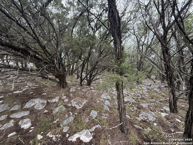 Image 5 of 8 For 8115 Grand Stone