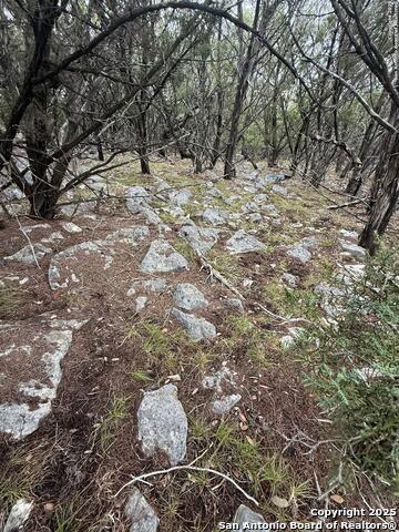 Image 6 of 8 For 8115 Grand Stone