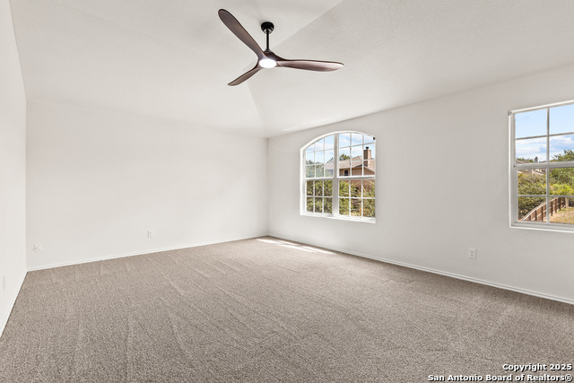 Image 19 of 41 For 25807 Beautyberry