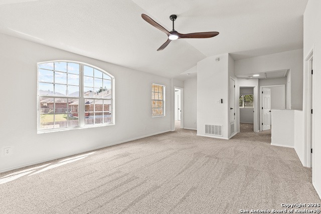 Image 20 of 41 For 25807 Beautyberry