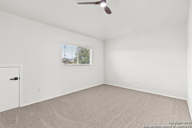 Image 22 of 41 For 25807 Beautyberry