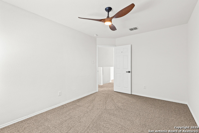 Image 27 of 41 For 25807 Beautyberry