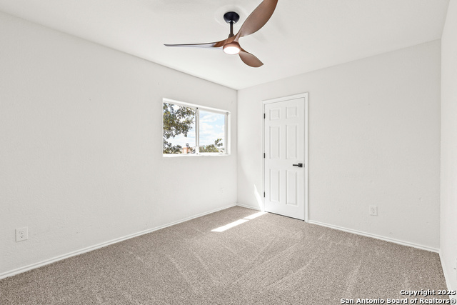 Image 28 of 41 For 25807 Beautyberry