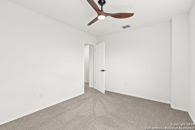 Image 29 of 41 For 25807 Beautyberry