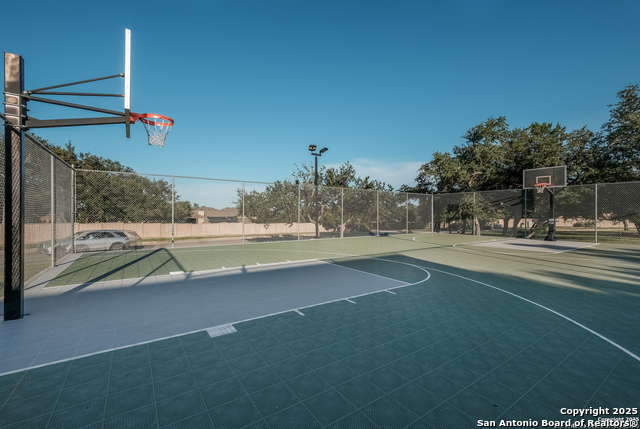 Image 36 of 41 For 25807 Beautyberry