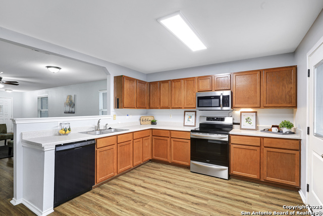 Image 11 of 26 For 25911 Torch Lily