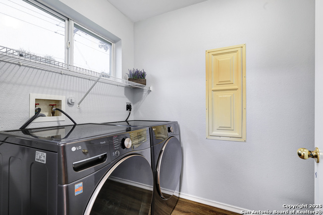 Image 13 of 26 For 25911 Torch Lily