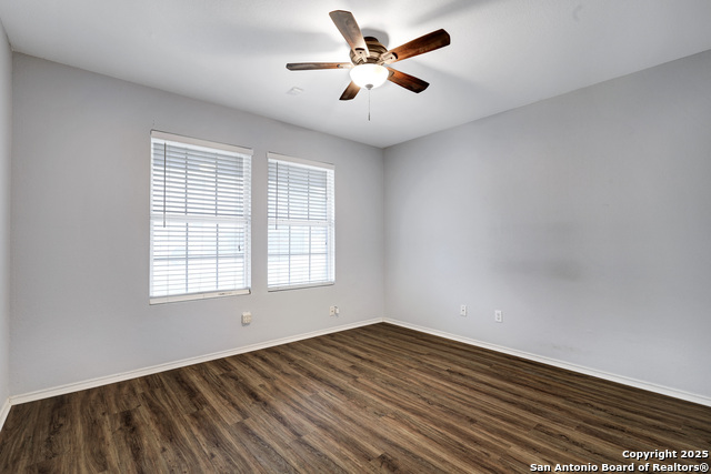 Image 20 of 26 For 25911 Torch Lily