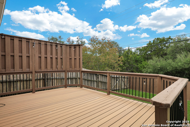 Image 21 of 26 For 25911 Torch Lily