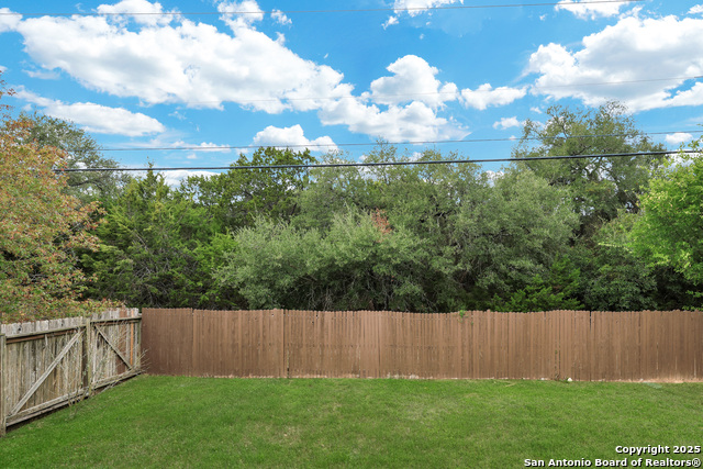 Image 23 of 26 For 25911 Torch Lily