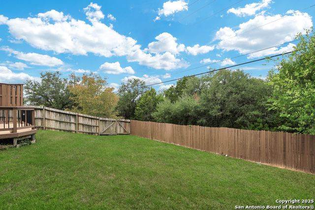 Image 24 of 26 For 25911 Torch Lily