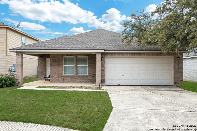 Image 26 of 26 For 25911 Torch Lily