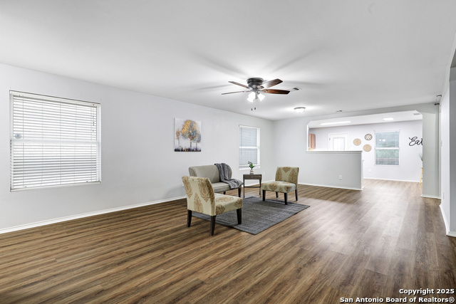 Image 6 of 26 For 25911 Torch Lily