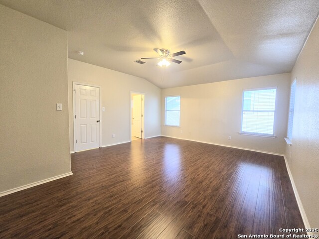 Image 10 of 23 For 12239 Painted Daisy